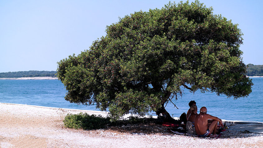 Hotspot Istrien | Wunderschönes Kroatien #croatiandays | Kurztrip nach Fazana | hot-port.de | 30+ Lifestyle Blog
