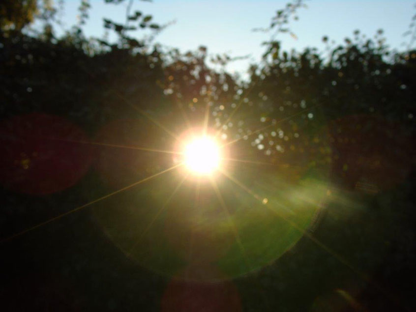 In der Liebe bleiben - Herzchakraöffnung - Verbinde dich☼☼☼ ☼☼☼ ☼☼☼