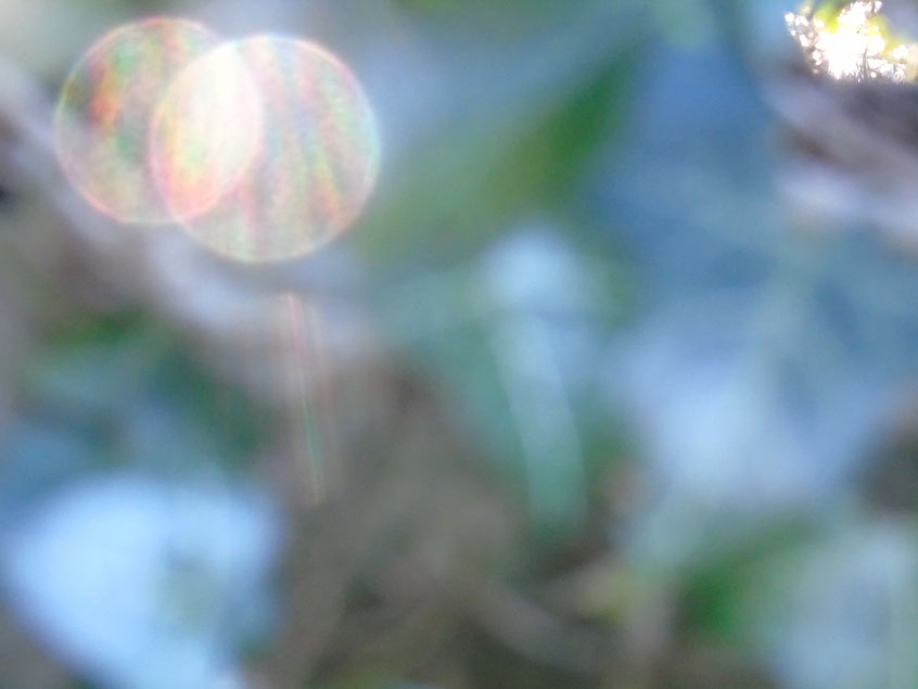 Es werde Licht....Quelle: www.lichtwesenfotografie.com