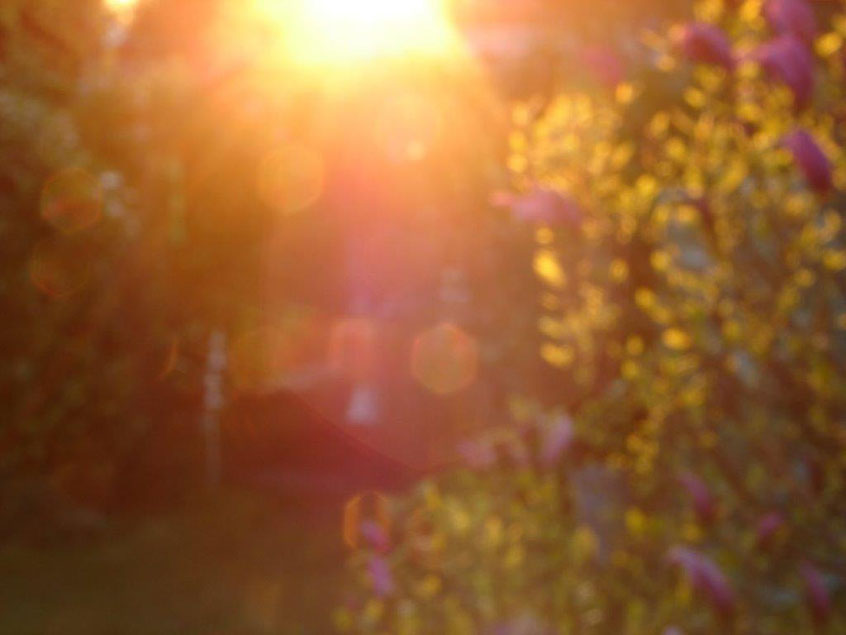 Überbordendes Göttliches Licht und Hexagramme in unterschiedlicher Größe, www.lichtwesenfotografie.com