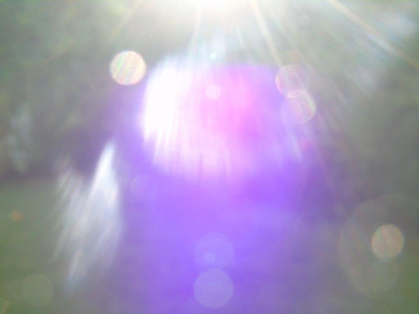 Violett 2, Quelle: www.lichtwesenfotografie.com