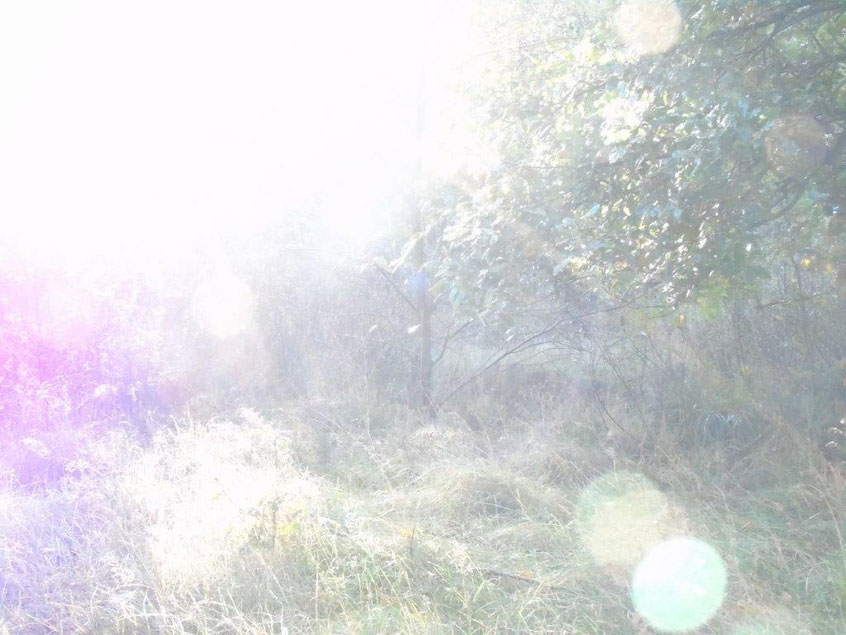 Bewusstes Erschaffen, Quelle: www.lichtwesenfotografie.com