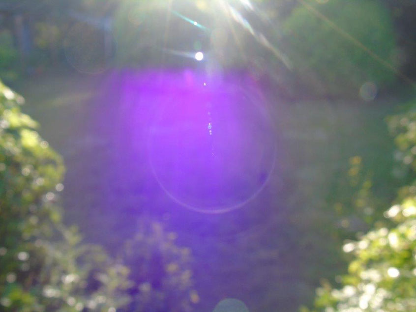 Violett 1, Quelle: www.lichtwesenfotografie.com