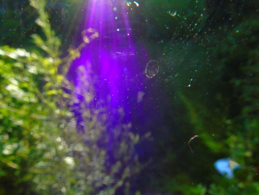 Lichtphotonen tanzen im gesamten Kosmos umher, Violette Energie der Reinigung und Transformation, Quelle: www.lichtwesenfotografie.com