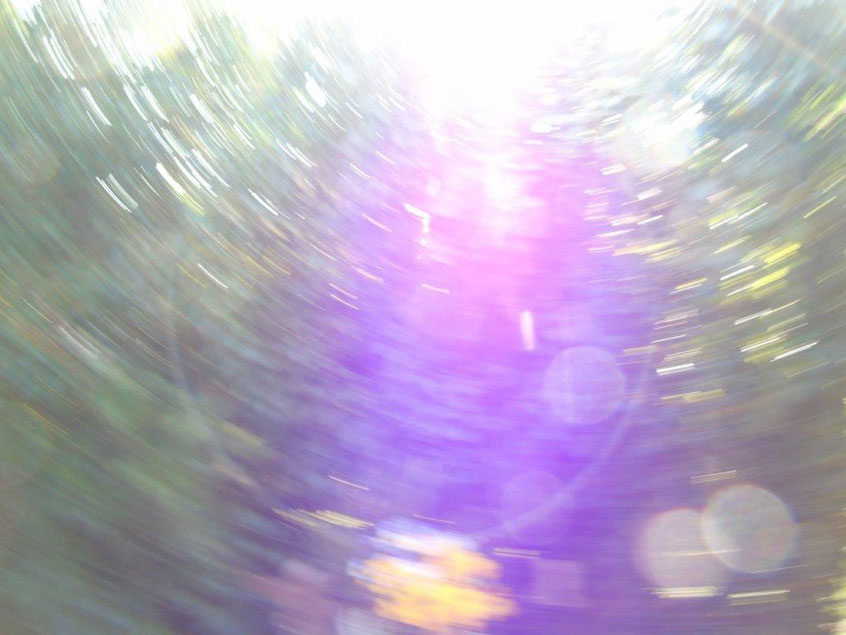 Violett 3, Quelle: www.lichtwesenfotografie.com