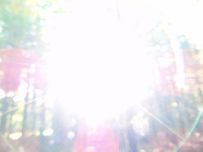 Bewusst Schöpfer sein, Quelle: www.lichtwesenfotografie.com