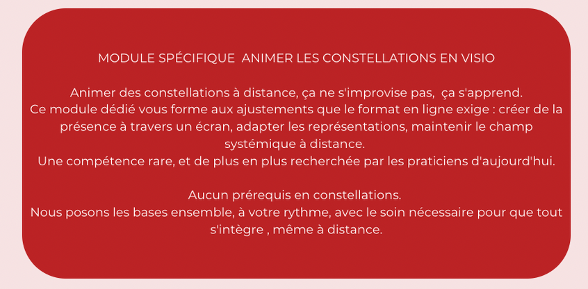 module visio constellations familiales et systemiques