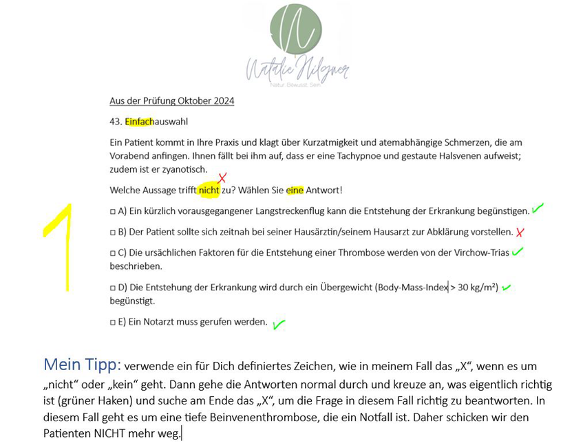 HP Prüfung Natalie Hilgner