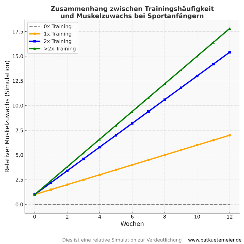 Personal Trainer, Personal Training, Mainz, Hochheim, Lauftraining, Ausdauertraining, Krafttraining, Wiesbaden, Schierstein, Dotzheim, Gonsenheim, Nieder-Olm, Groß-Gerau, Nierstein, Oppenheim, Fitness, Abnehmen, Gesundheit, Dieburg, Langen, Egelsbach