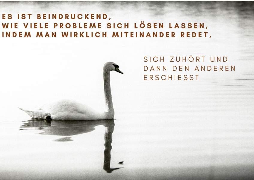Hast du die Schokolade gesehen?