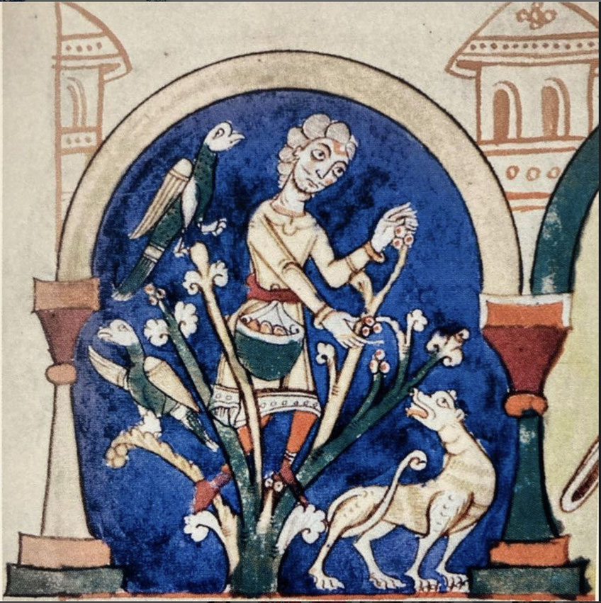 "Les vendanges" - Codex Guta-Sintram manuscrit enluminé daté de 1154, exécuté à Marbach et Schwarzenthann en Alsace conservé à la Bibliothèque du Grand séminaire de Strasbourg