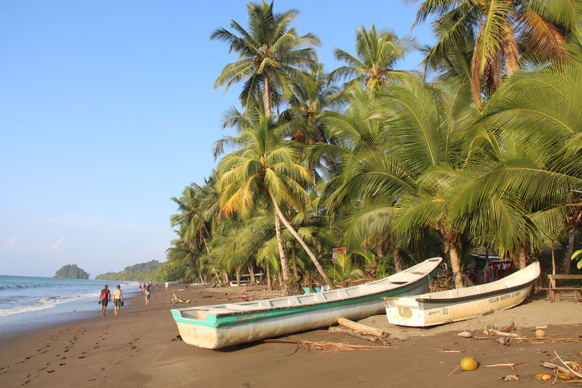 Wanderung an der Küste im wilden Chocó - Erlebnisbausteine Reisen Kolumbien