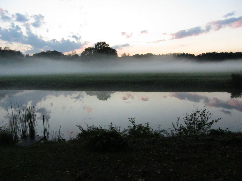 Abend-Nebel