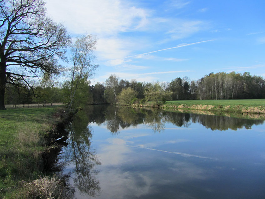 Spree unterhalb von Bräsinchen
