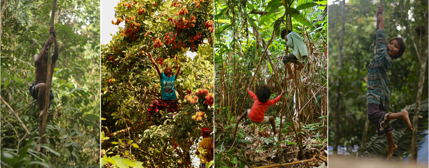 Back to the Trees / Of Humand Tree-Climbing - Fingerschinder