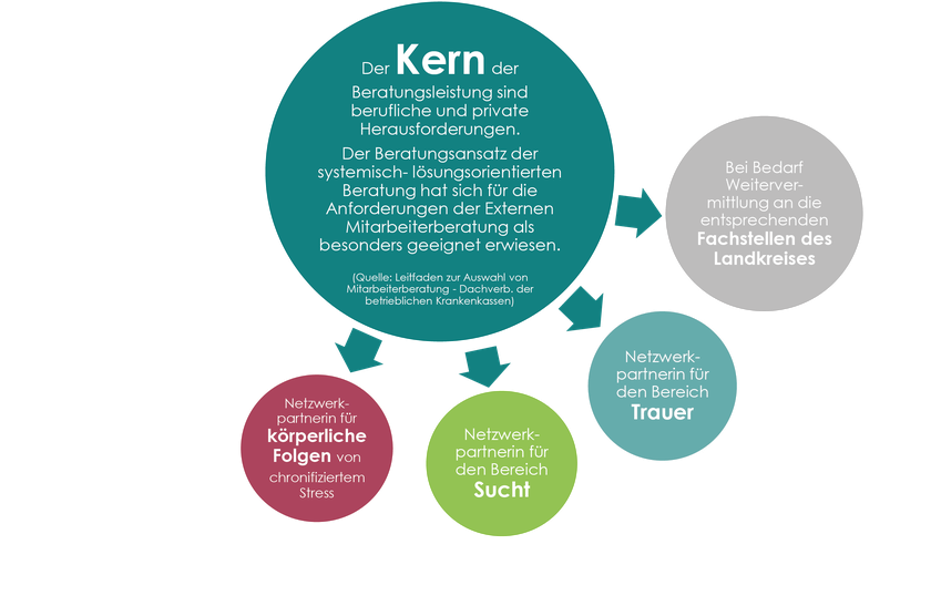 Hier erscheint eine Grafik über den Kern der Beratung und die Netzwerkpartnerinnen