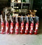 Feuerlöscherservice, Feuerlöscherkontrolle, Feuerlöscherwartung, Feuerlöscher, Schaumlöscher, Leichtwasser, Pulver, Kohlensäure, Preis, Löschposten, Feuerlöschposten, Feuerwehrschlauch, Strahlrohr, Schlauchhaspel, Fluchtwegschilder, Region Basel, Schweiz