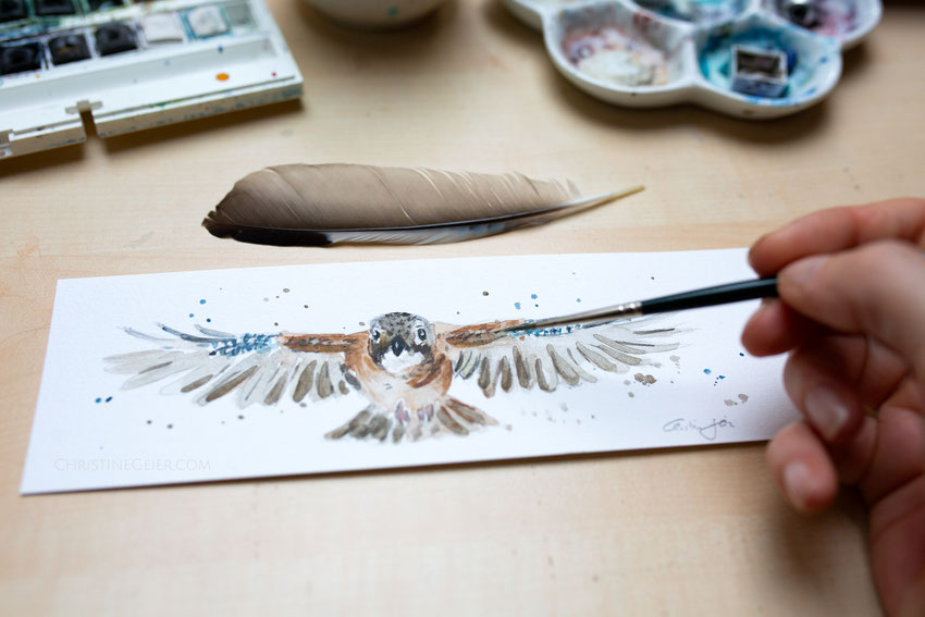 Eichelhäher, Eurasian jay, jay, Garrulus glandarius, Aquarell, Illustration, Vogel, fliegender Vogel, flying bird, wings, Kunst, Gemälde, Wanddeko, Original, Bild, Künstlerin 