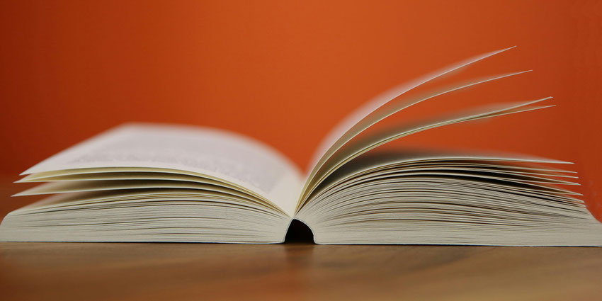 Lezen basisschool en middelbaar onderwijs