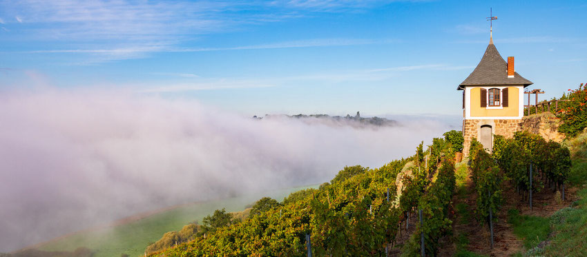 Blick zum Weinberghäuschen Schwalbennest mit Nebel im Tal