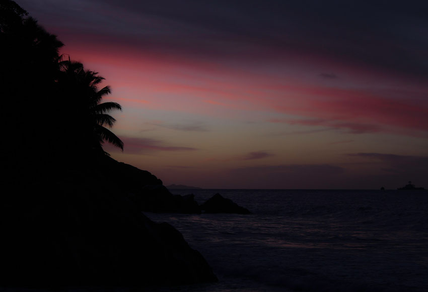 Naturfotografie Iris Stierlen Seychellen Palme Sonnenuntergang