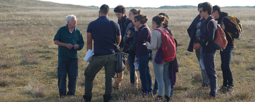 Découverte des plantes des dunes avec René Guéry, dunes de la Tresson, La Guérinière