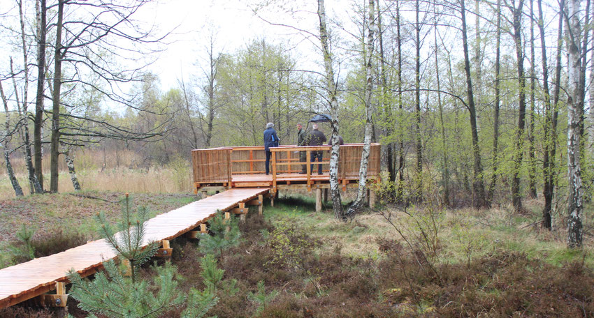 Parc de Naturschutzgebietes "Königesbrücker Heide"