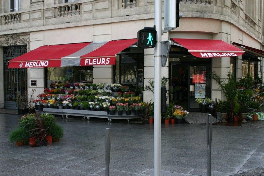 MERLINO Fleurs Le triangle impérial Metz