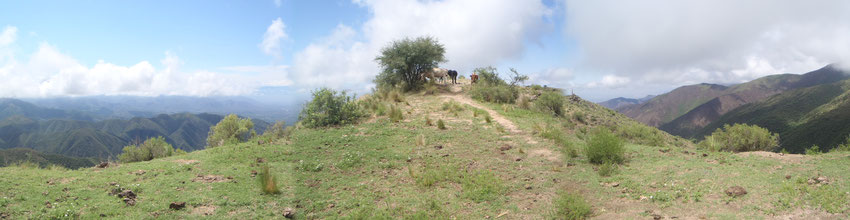 Un hermoso punto de la cuesta, donde podemos ver el paisaje a ambos lados de la montaña y compartimos el momento con la fauna local.