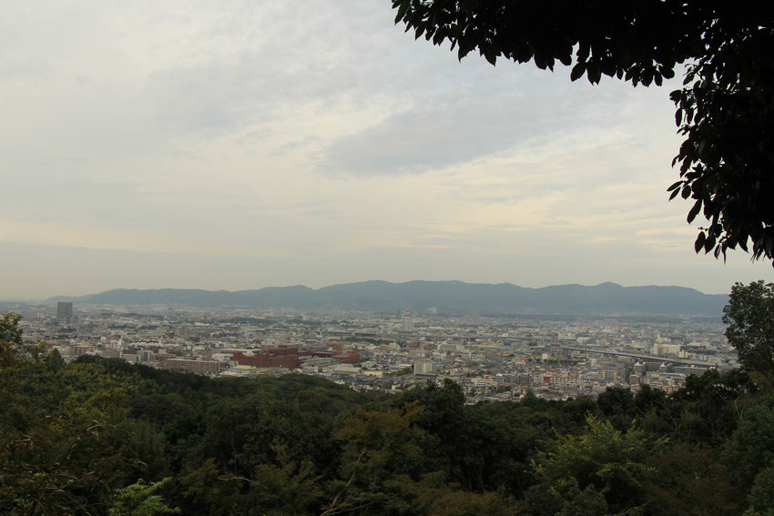 Kyoto - 5 Family Friendly Hikes - Hiking the Fushimi Inari Shrine in Kyoto