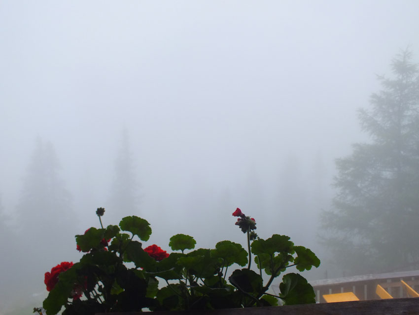 Pleisenhütte, morgens bei Beginn des Rückwegs nach Scharnitz