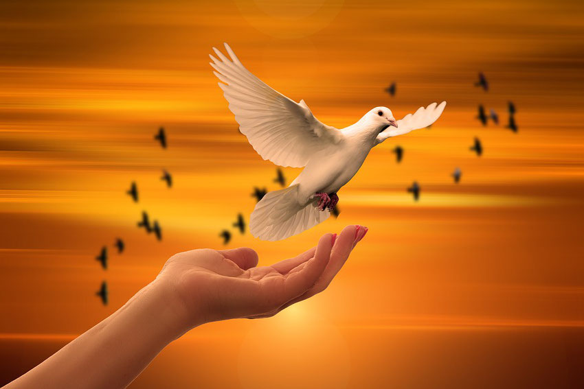 Voyance guidance : messages des anges , des archanges , des êtres de lumière et ou de votre âme