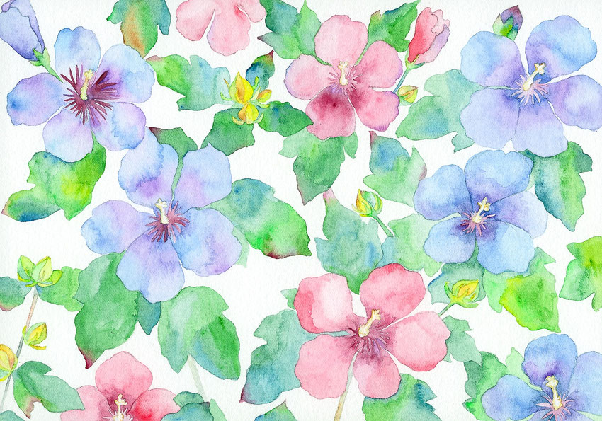 「夏の彩り」水彩画