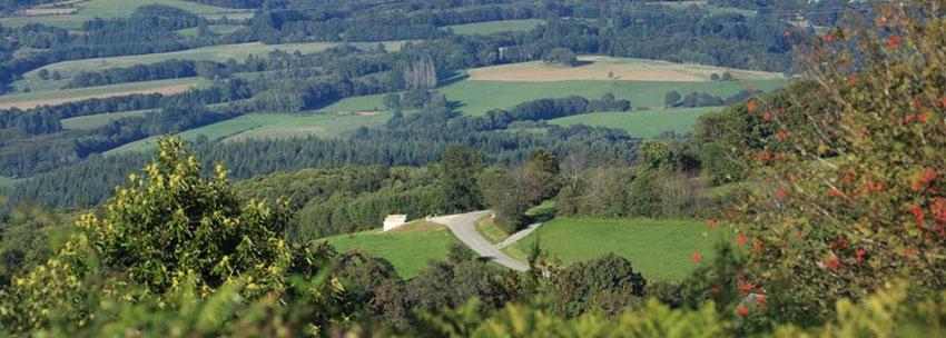 3-days trekking with a donkey - limousin -france