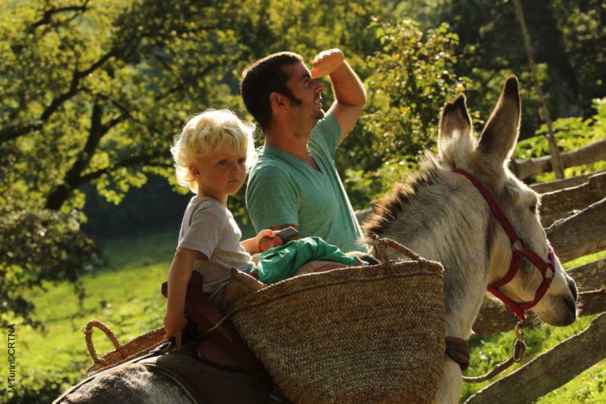 balade en famille avec un âne
