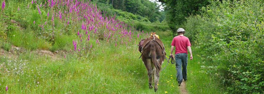 3-days trekking with a donkey - limousin -france