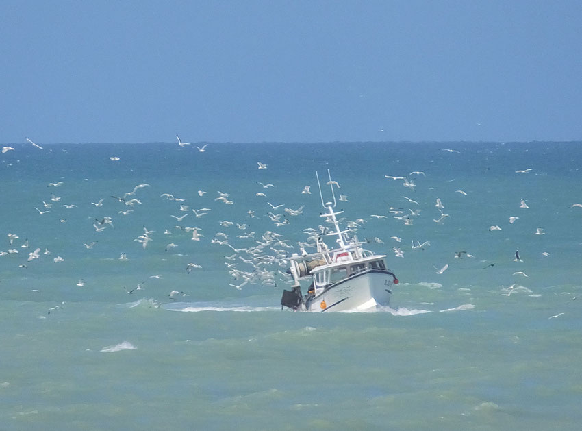 Retour de la pêche