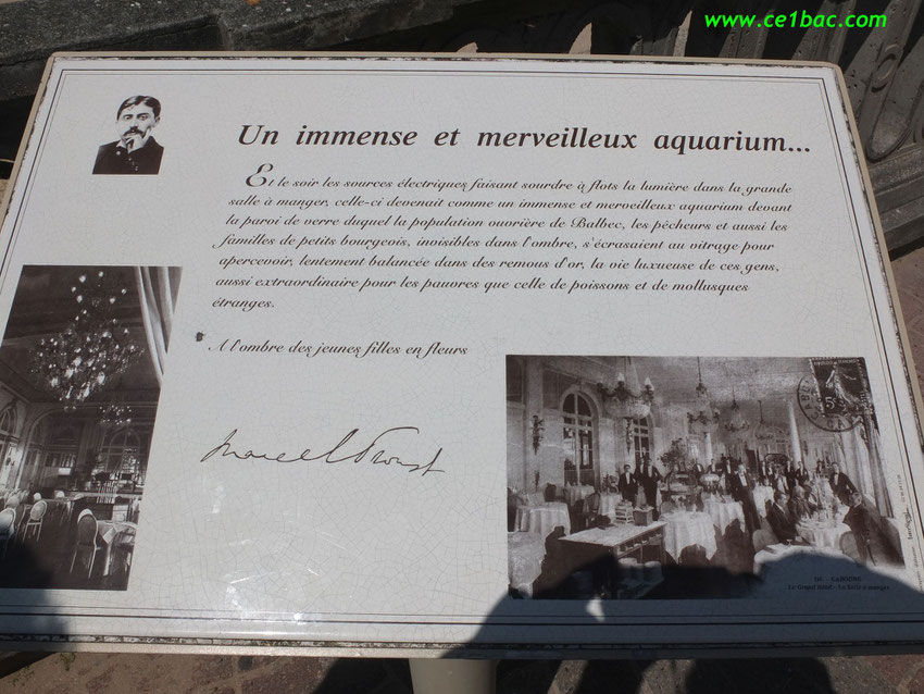 Un immense et merveilleux aquarium... Marcel Proust