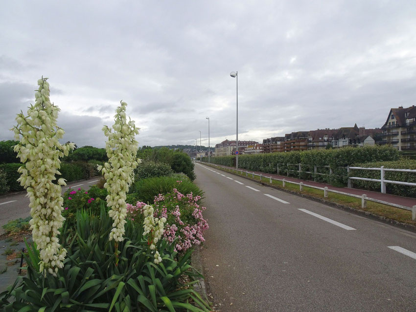 La route en bord de mer, Deauville
