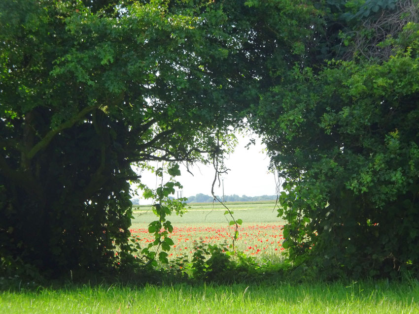  La beauté du paysage cache la longueur du chemin