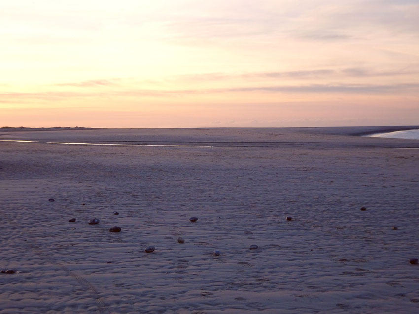 Cayeux Le Hourdel