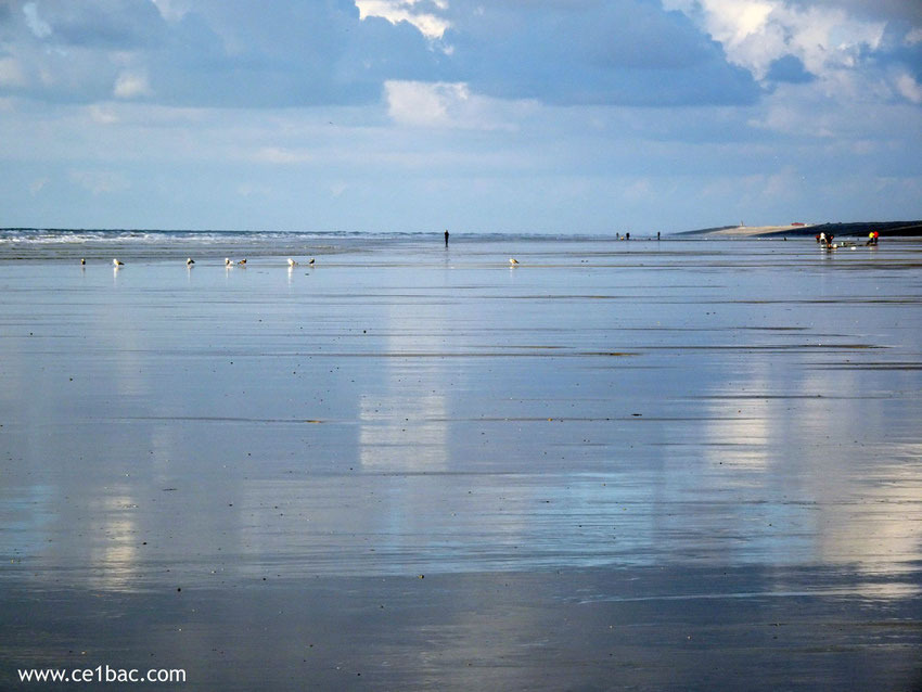 Reflets sur le sable à marée basse