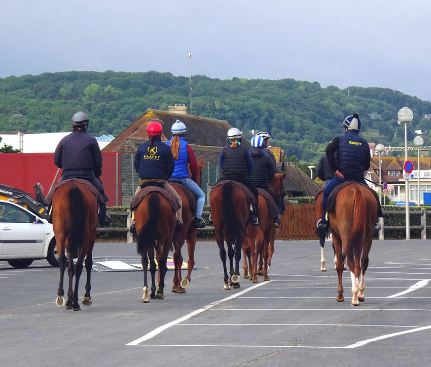 Les chevaux de Deauville