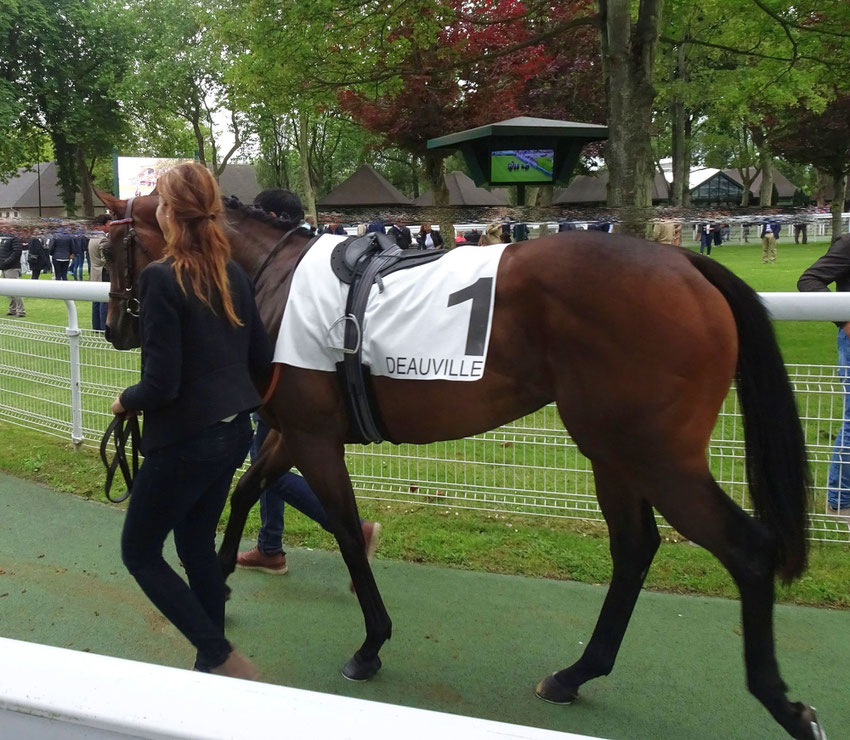 Les courses à Deauville