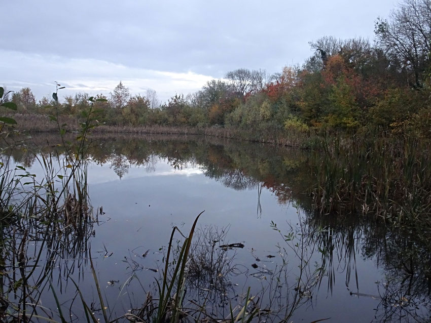 Paysage d'automne