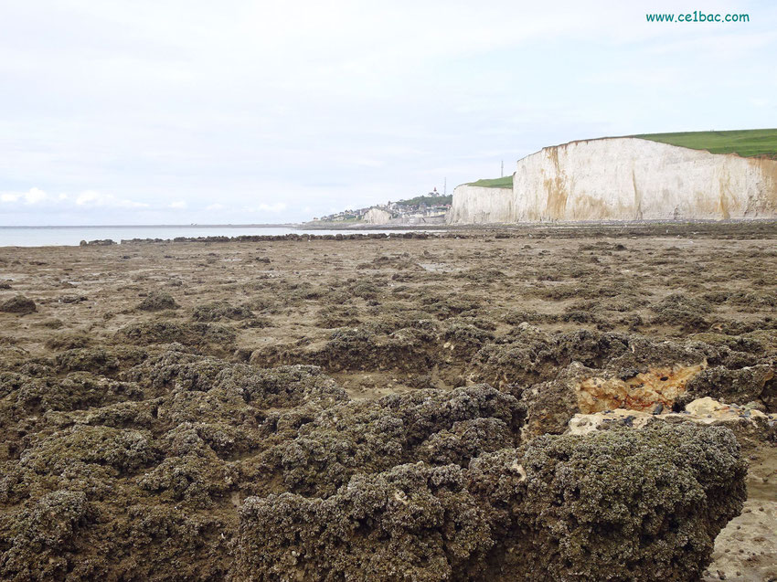 La côte sauvage au Bois de Cise (80)