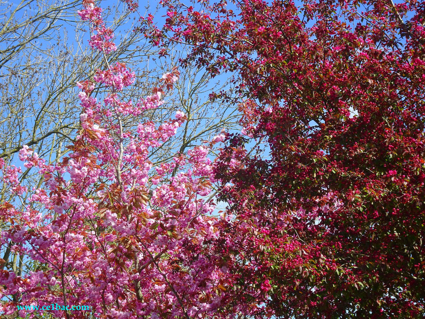 Printemps, tu peux venir ! 