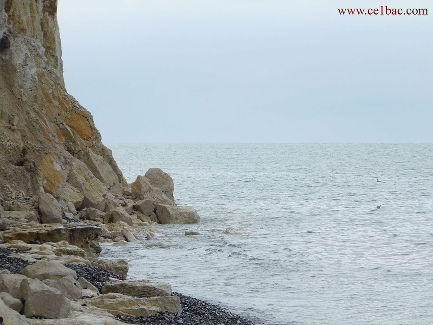 Près de Belleville-sur-Mer