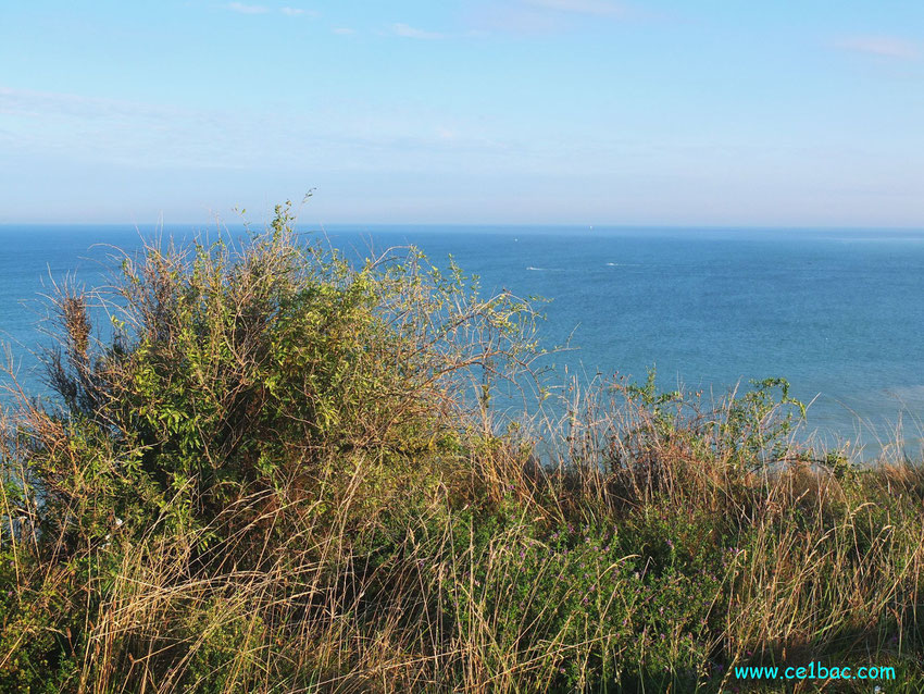 Sur la falaise côte picarde Onival