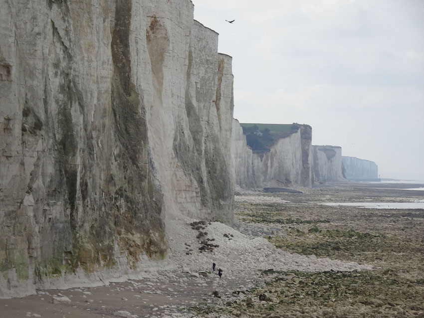 Marée basse à Ault